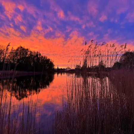 בית הארחה Family House