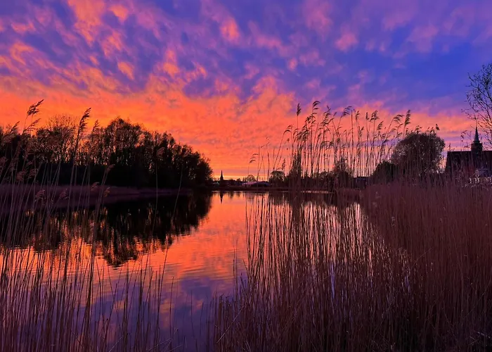 בית הארחה Family House