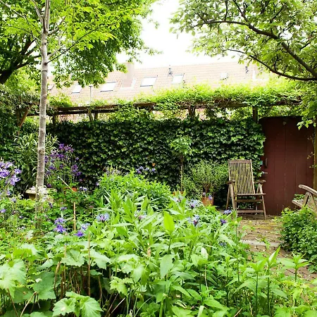 Πανσιόν Family House 3*